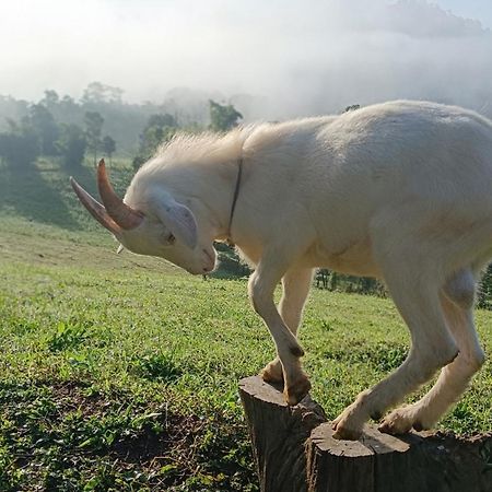 מאה הונג סון ไร่นิธิสุนทร Nithisoonthon Farmstay מראה חיצוני תמונה