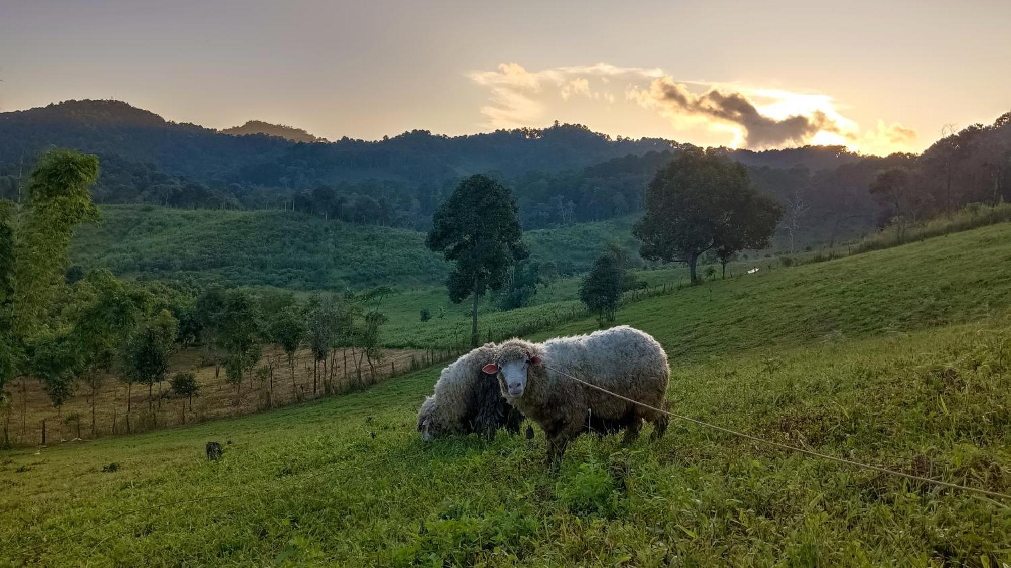 מאה הונג סון ไร่นิธิสุนทร Nithisoonthon Farmstay מראה חיצוני תמונה