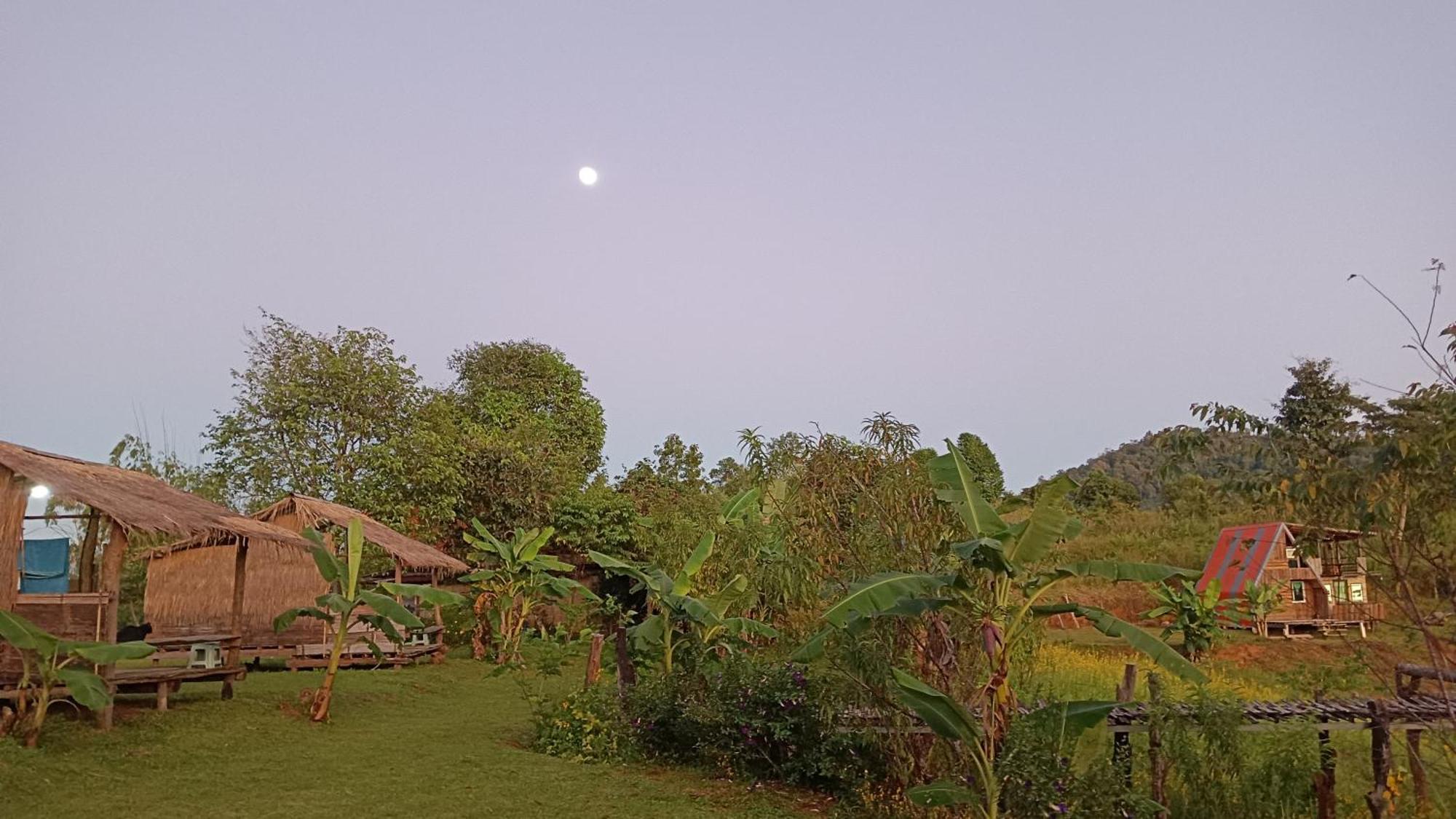 מאה הונג סון ไร่นิธิสุนทร Nithisoonthon Farmstay מראה חיצוני תמונה