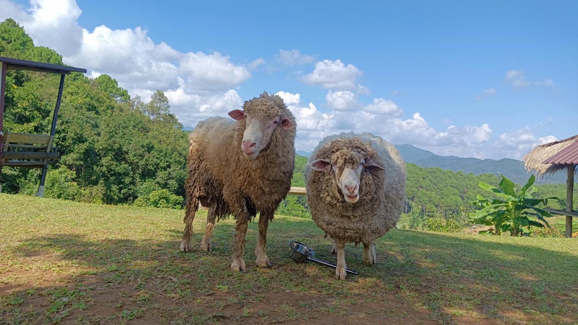 מאה הונג סון ไร่นิธิสุนทร Nithisoonthon Farmstay מראה חיצוני תמונה